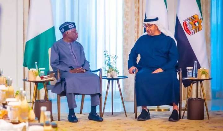Visa ban, four other things to know about Tinubu's visit to UAE