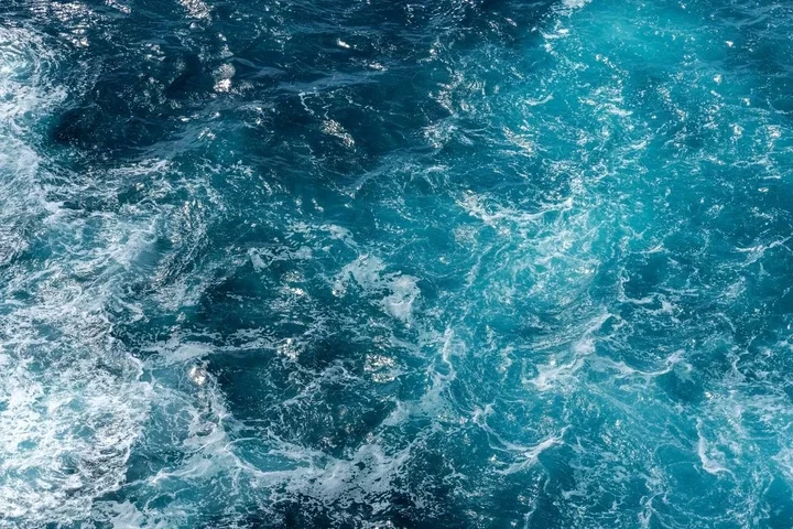 Scientists made terrifying discovery after finally reaching the bottom of the Red Sea