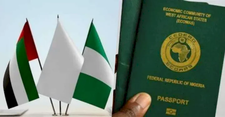 UAE imposes visa ban on Nigerians, now rejecting visa applications