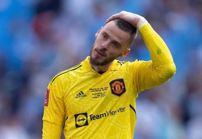 David de Gea cuts a frustrated figure during last season's FA Cup final. Image: Getty