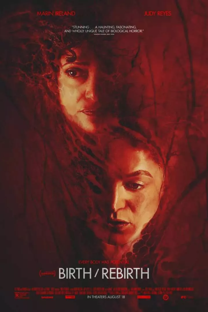 Birth/Rebirth (2023) Birth/Rebirth (2023)