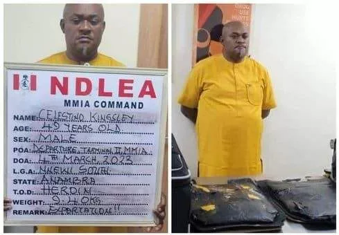 NDLEA nabs Anambra businessman with 9.40kg heroin