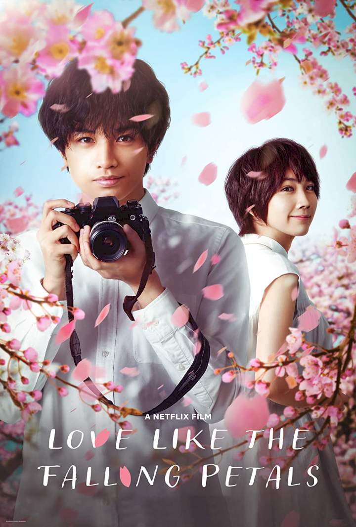 Love Like the Falling Petals (2022) [Japanese] - Netnaija Movies