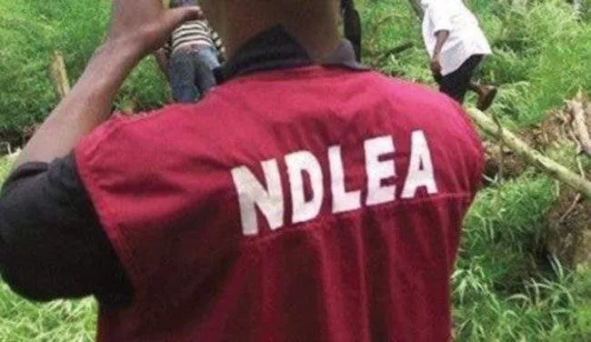 'NDLEA Official' Arrested In Lagos With 4kg Of Illicit Drugs
