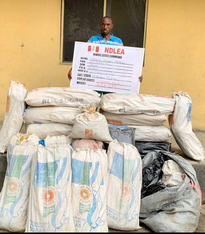 NDLEA intercepts Italy, Dubai-bound drugs at Lagos airport, busts syndicate behind fake employments into security agencies