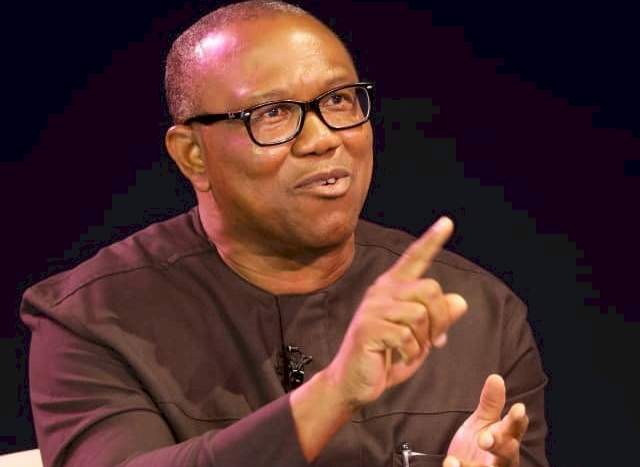 'This one go slap ADC for office' - Dino Melaye replies Peter Obi after presidential debate outburst (Video)