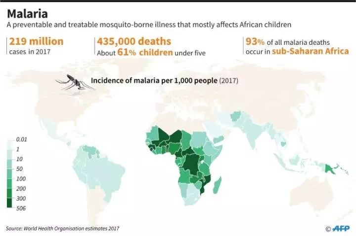 Africa accounted for 95% of malaria deaths worldwide in 2022 - WHO report