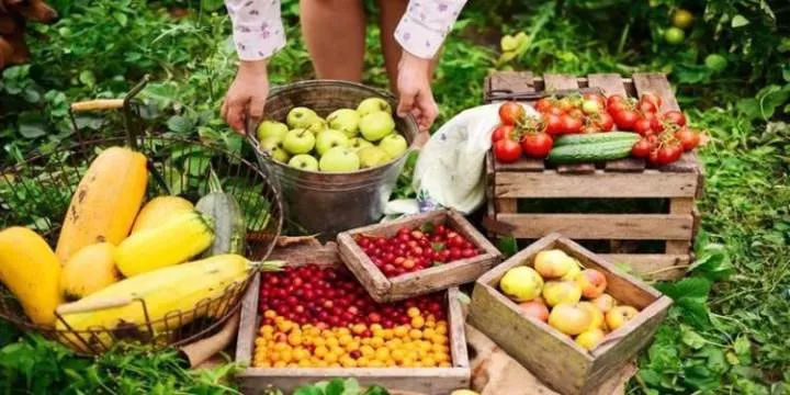 10 most expensive states for healthy diets in Nigeria