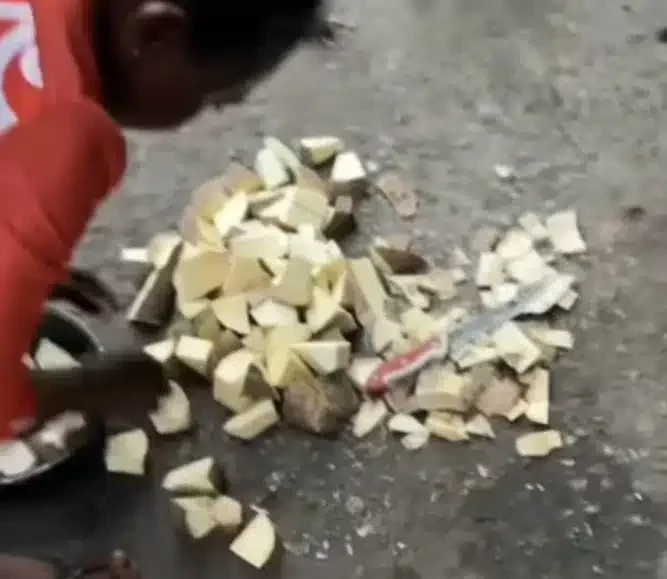 'Let us learn cleanliness' - Lady shouts up a storm as she corrects roadside food vendor for unhealthy cooking habits