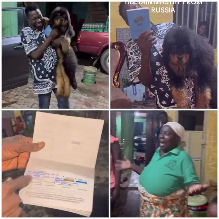 A skit? Nigerian man and his family excited after taking delivery of a dog they ordered from Russia (video)