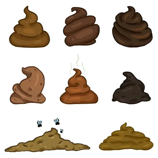 What the colour of your poop says about your health