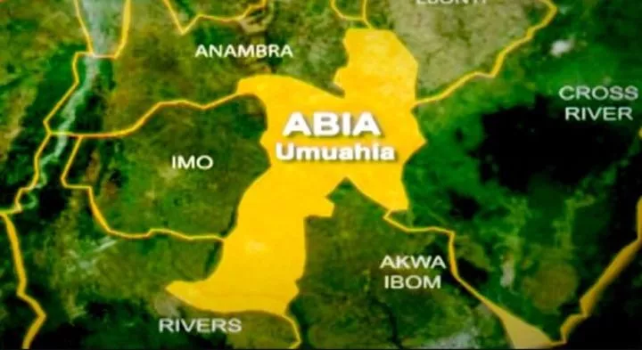 Panic in Abia as mentally unstable man kills woman, twin children