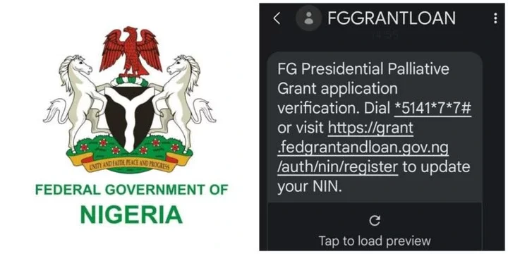 FG Announces Verification Process For N50,000 Presidential Palliative Grant