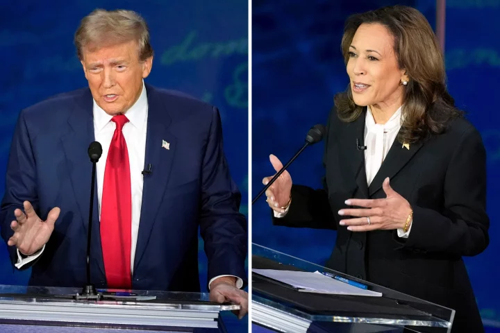 US Vice President, Kamala Harris says Donald Trump 