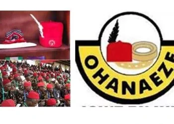 Ohanaeze: Nze Ozichukwu hands over to Mbata