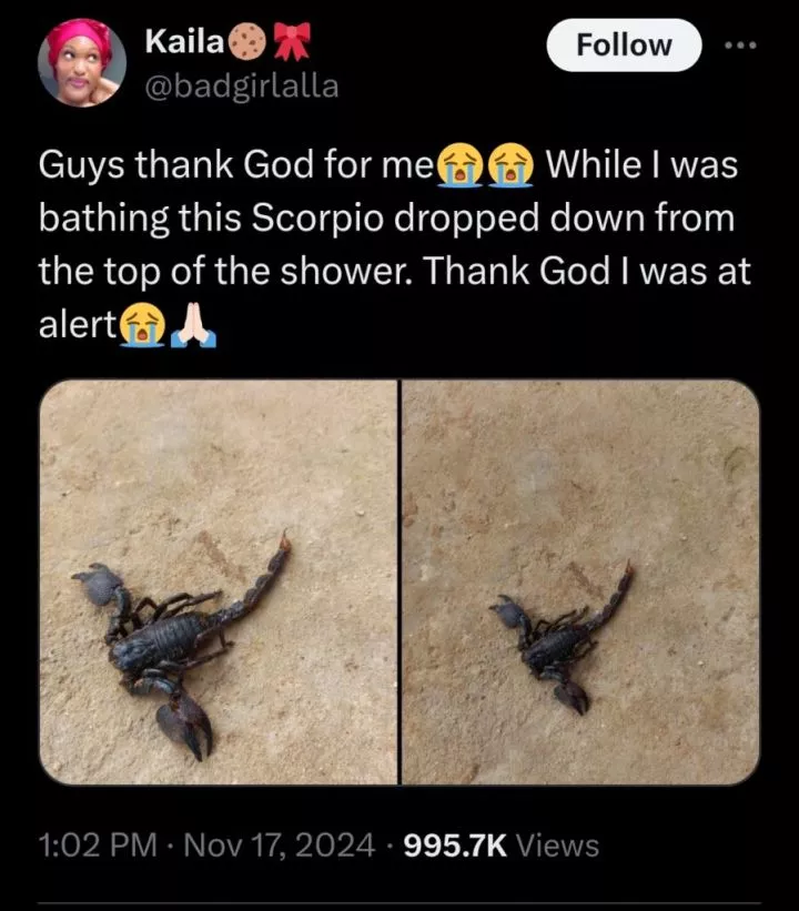 Lady narrowly escapes harm as scorpion falls from top of shower while bathing