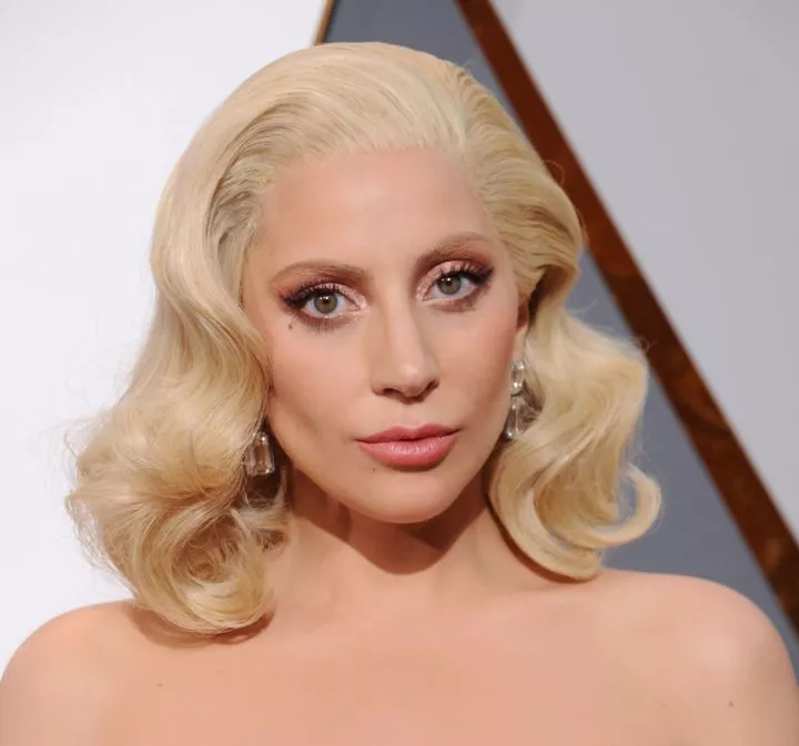 Bombing at Lady Gaga's concert thwarted by police Bombing at Lady Gaga's concert thwarted by police