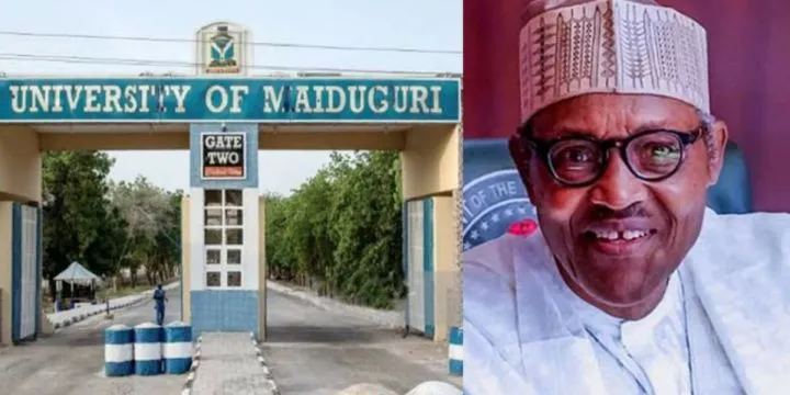 President Tinubu renames University of Maiduguri after late Muhammadu Buhari