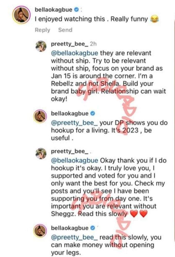 Bella roasts fan who urged her to be relevant outside her relationship with Sheggz