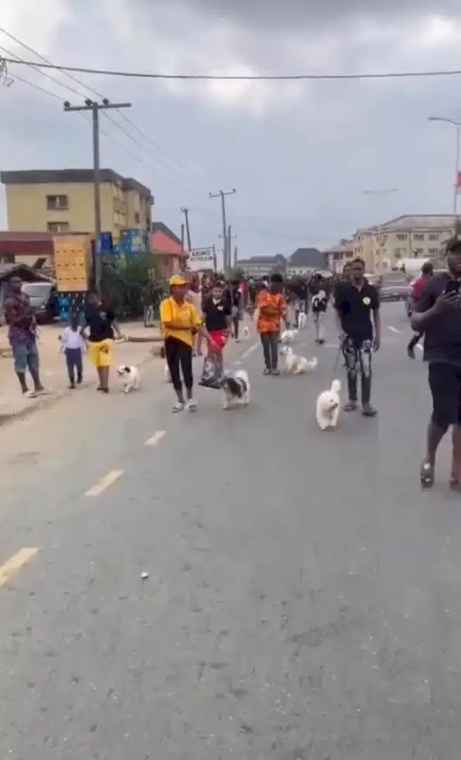 'Na why Buhari no get our time' - Reactions trail dog carnival in Port Harcourt (Video)