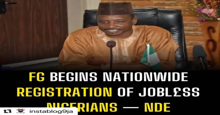 FG begins nationwide registration of jobl£ss Nigerians - NDE