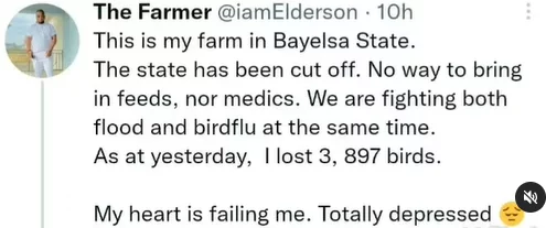 'My heart is failing me. Totally depressed' - Farmer shows the losses he has incurred after his farm in Bayelsa got run over by flood (Video)