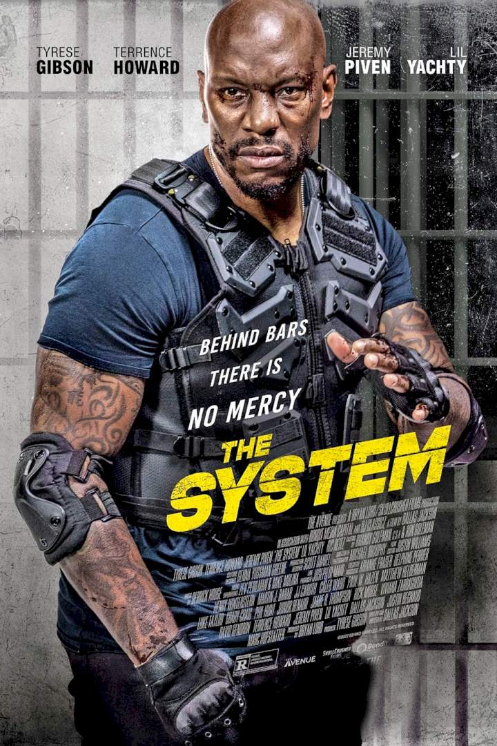 The System (2022)
