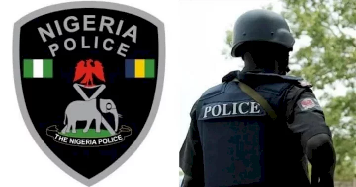 Police back CBN, begin arrest of Nigerians selling, spraying naira