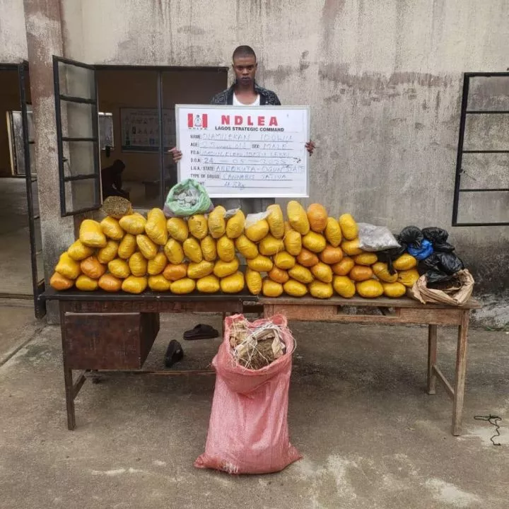 NDLEA Intercepts N6.5bn Opioids In Lagos, Rivers Ports, Arrests Two British Nationals (Photos) NDLEA Intercepts N6.5bn Opioids In Lagos, Rivers Ports, Arrests Two British Nationals (Photos)