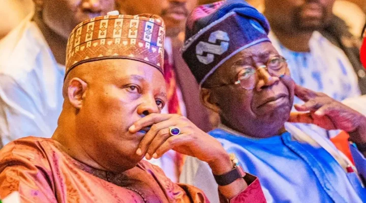 2027: Why Tinubu can't drop Shettima 2027: Why Tinubu can't drop Shettima