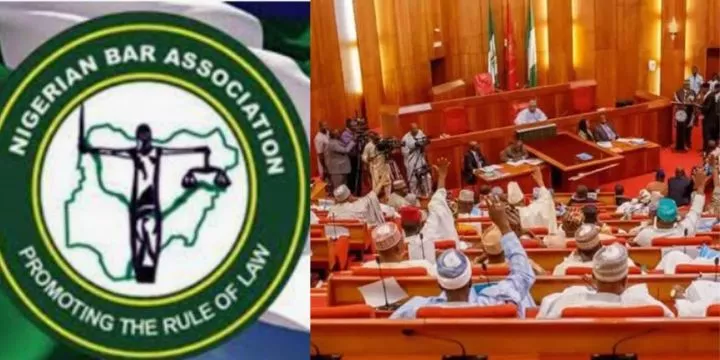 Nigerian Bar Association Demands Urgent Probe Of JAMB, WAEC Glitches By National Assembly Nigerian Bar Association Demands Urgent Probe Of JAMB, WAEC Glitches By National Assembly