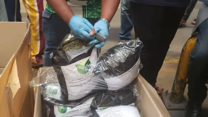 NDLEA Uncovers Illicit Drugs Packaged As Green Tea (Video) NDLEA Uncovers Illicit Drugs Packaged As Green Tea (Video)