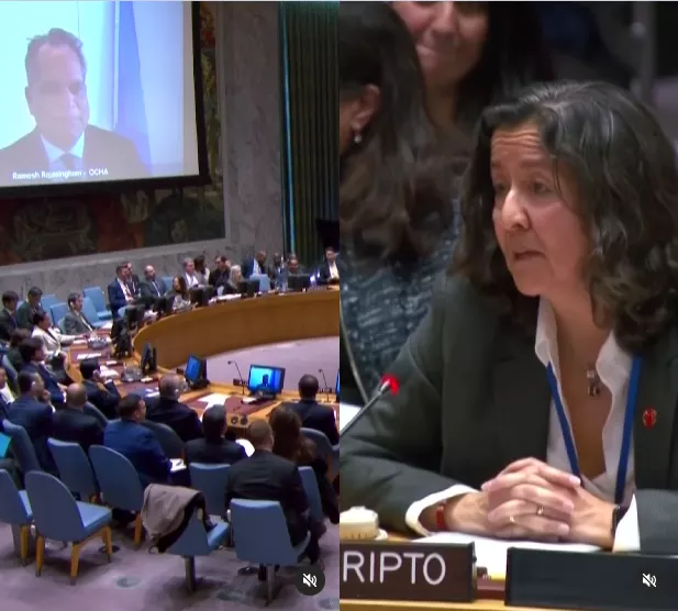 Moment 4.8-magnitude earthquake shook building and interrupted UN Security Council Meeting (video)