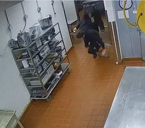 Bear storms luxury hotel and attacks security guard (video)