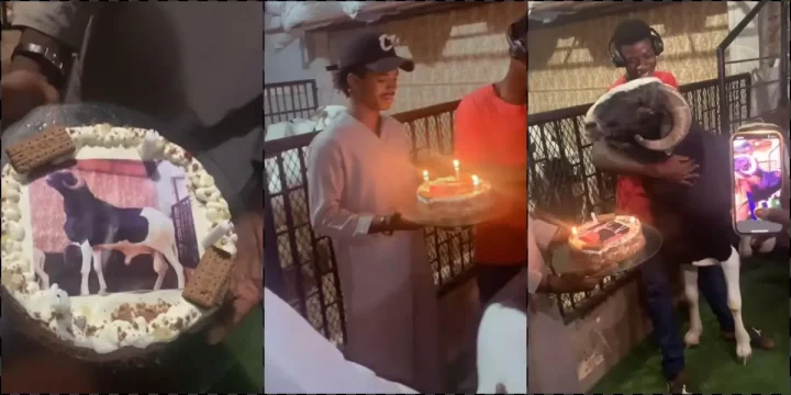 Ram gets a huge cake as it marks birthday