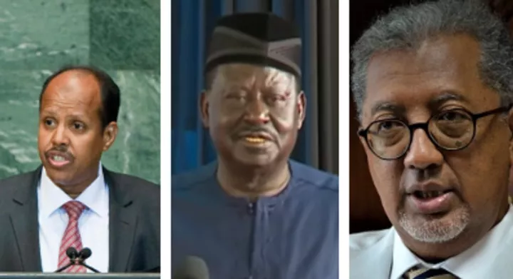 Profiles of the 3 candidates in race for African Union chairperson in 2025