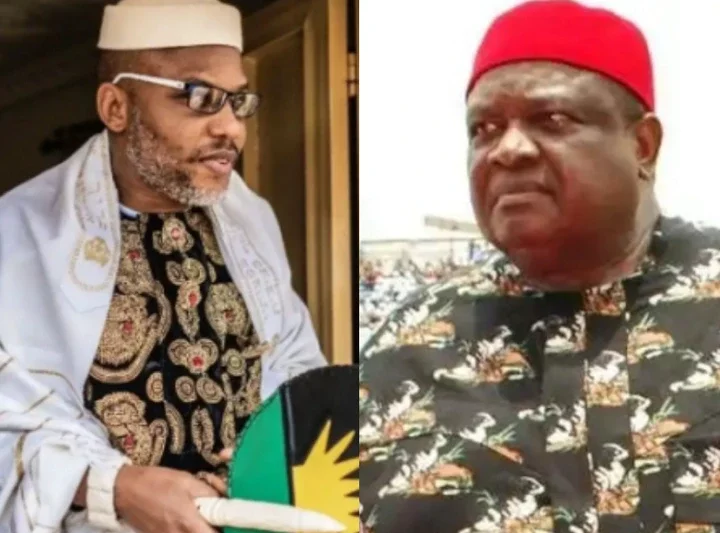 We Don't See Any Danger In Releasing Nnamdi Kanu - Chief Emmanuel Iwuanyanwu