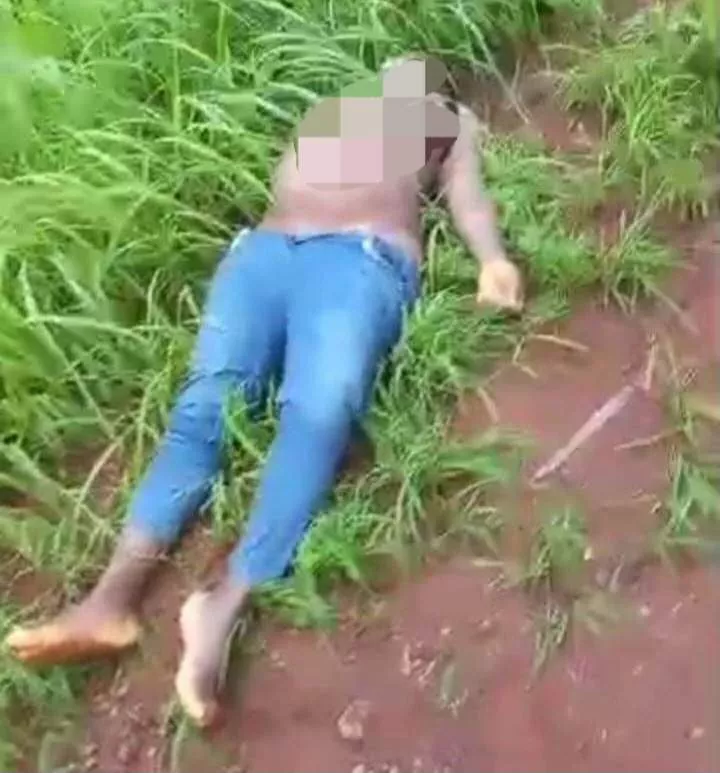 Lifeless body of pregnant woman found partly unclad in Imo bush (graphic photo)