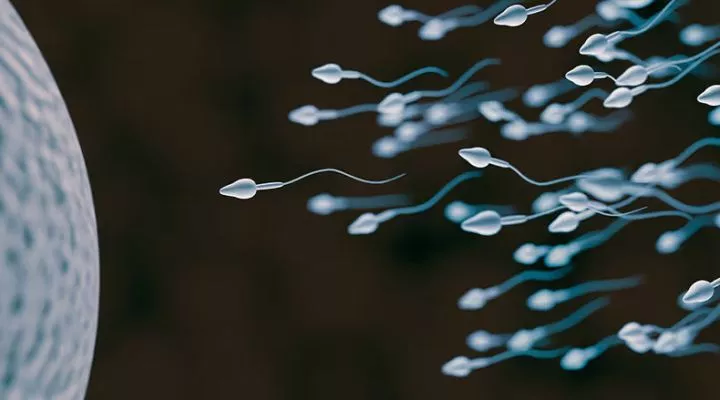 Male biological clock: Here's the age sperm quality in men starts declining