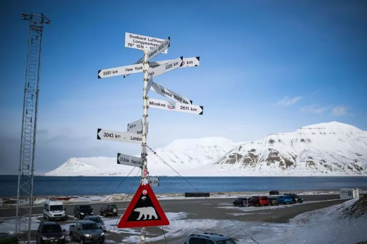 Polar bears are a hazard for visitors to Svalbard.