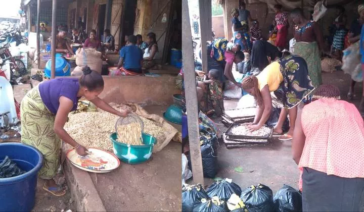 World of cashew nut business in Enugu community: How women make fortune