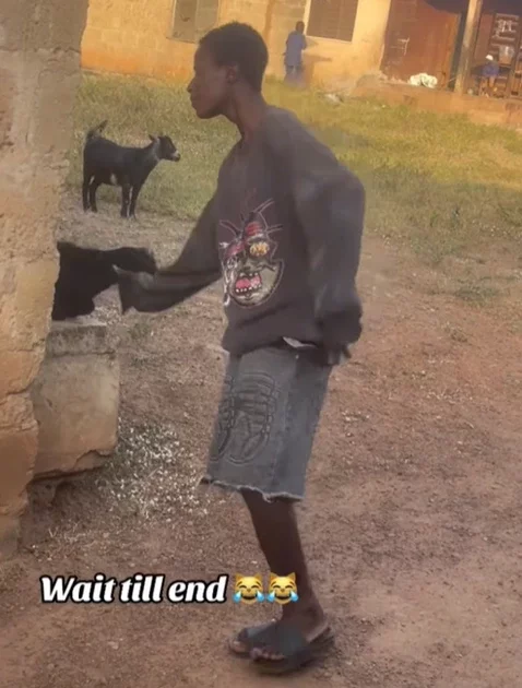 'Help me find this boy for this December' - Netizens react as boy 'professionally' catches goat by its neck (WATCH)