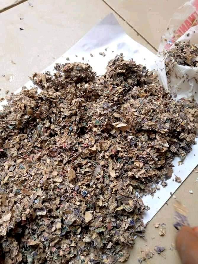 Decayed foreign currencies allegedly recovered at customs officer's house in Kano (Photos)