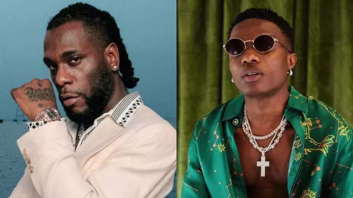 Wizkid and I have just two similarities - Burna Boy