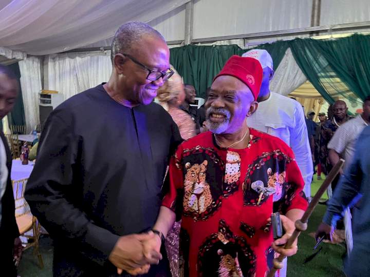 Photos from Peter Obi's daughter's wedding