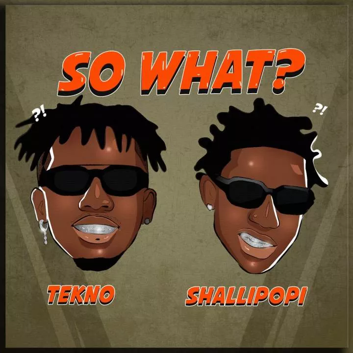 Tekno - So What? (feat. Shallipopi)