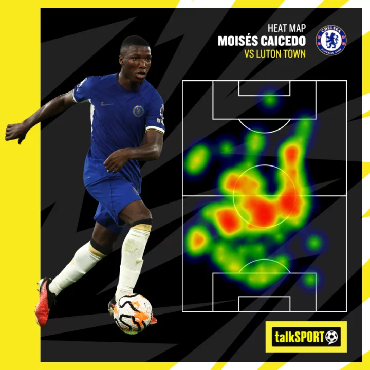 Moises Caicedo hailed as 'the best holding midfielder in the league' after £115m star's Chelsea masterclass against Luton