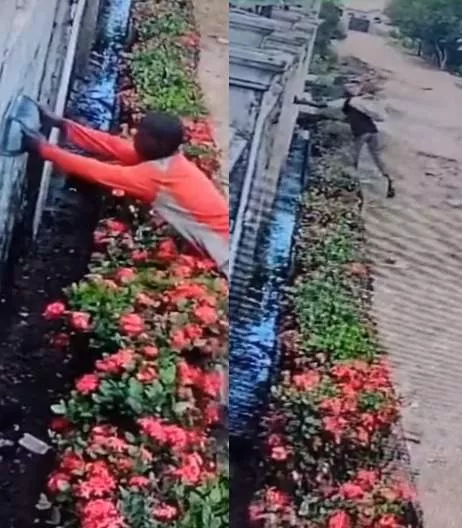 Scavengers caught on camera stealing security lights from a building (video)