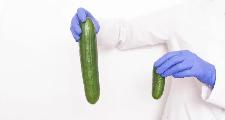 5 lies about penis size you probably believe