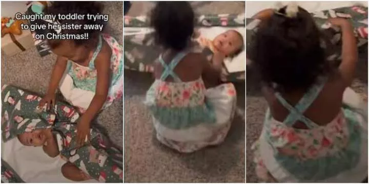 "Sibling rivalry don start" - Little girl wraps baby sister to give away as Christmas present